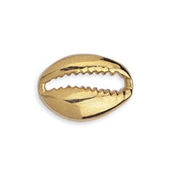 BeadsBalzar Beads & Crafts (GQ6488A) Good Quality Metal Alloy 19 x 14 Cowrie shell motif 20mm 24kt Gold Plated (4 pcs)