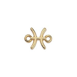 BeadsBalzar Beads & Crafts (GQZ7161C) PISCES (GQZ7161X) Zodiac signs Capricorn with 2 rings about 12-15MM (3 PCS)