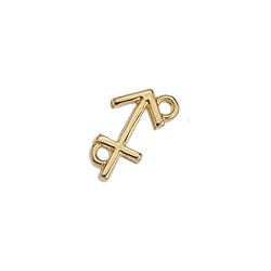 BeadsBalzar Beads & Crafts (GQZ7161E) SAGITTARIOUS (GQZ7161X) Zodiac signs Capricorn with 2 rings about 12-15MM (3 PCS)