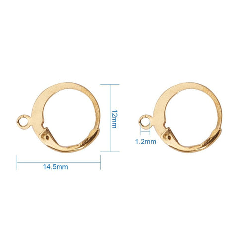 BeadsBalzar Beads & Crafts (SE5274-5PR) 304 Stainless Steel Leverback Earring Findings, with Loop (5 PAIRS)