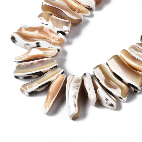 BeadsBalzar Beads & Crafts (SH8345-011) Natural Trochid Shell/Trochus Shell, Nuggets, BurlyWood 10~32mm (1 STR)