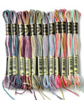 COLORFUL 12 Skeins 6 Colors 6-Ply Polyester Embroidery Floss, Cross Stitch Threads, Segment dyed 12 Skeins 6 Colors 6-Ply Polyester Embroidery Floss – Premium Cross Stitch Threads for Needlework, DIY Crafts 