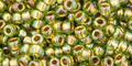 250g TOHO - Round 8/0 : Gold-Lined Rainbow Peridot 250g TOHO - Round 8/0 : Gold-Lined Rainbow Peridot