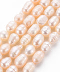 BeadsBalzar Beads & Crafts (PE8906-14E) Natural Cultured Freshwater Pearl Beads, Rice, Seashell Color, 7~9mm (1 STR)