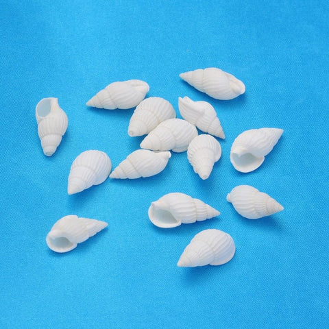 BeadsBalzar Beads & Crafts (SH8844A) Natural Trumpet Shell Beads, Mixed, White (25 GMS)