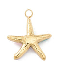 BeadsBalzar Beads & Crafts (SS8768M) Ion Plating(IP) 304 Stainless Steel Enamel Charms, Golden, Starfish, Colorful, 14x12x3mm (2 PCS)