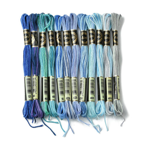 BeadsBalzar Craft Store 12 Skeins 12 Colors 6-Ply Polyester Embroidery Floss, Cross Stitch Threads, Segment Dyed