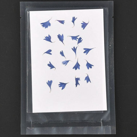 BeadsBalzar Craft Store CORNFLOWER -  BLUE - ABOUT 9-18MM Embossing Dry Flower, for Cellphone, Photo Frame, Scrapbooking DIY Handmade Craft