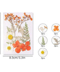 BeadsBalzar Craft Store Dried Flower Sets – Craft Material for DIY Resin, Scrapbooking & Decoration, 85x120mm