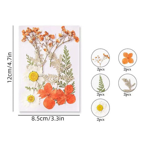 BeadsBalzar Craft Store Dried Flower Sets – Craft Material for DIY Resin, Scrapbooking & Decoration, 85x120mm