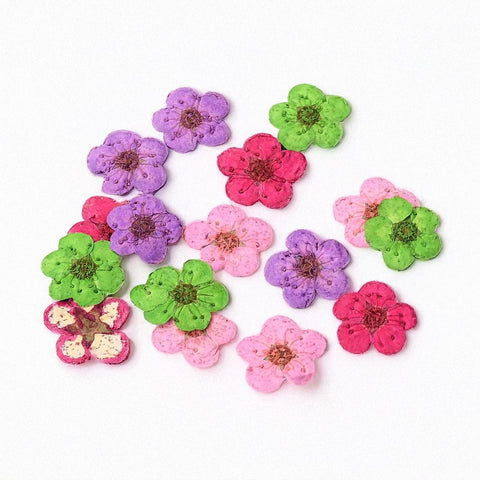 BeadsBalzar Craft Store MIX - ABOUT 7MM Embossing Dry Flower, for Cellphone, Photo Frame, Scrapbooking DIY Handmade Craft