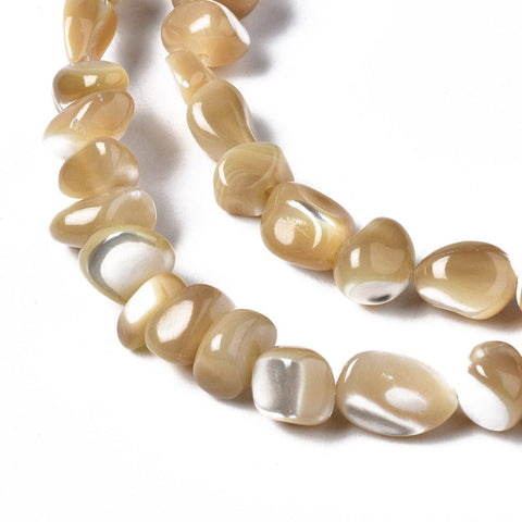 BeadsBalzar Craft Store Natural Trochid Shell Chip Nugget Beads Strand