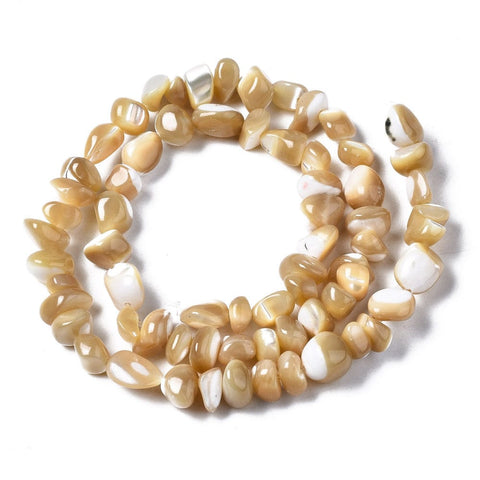 BeadsBalzar Craft Store Natural Trochid Shell Chip Nugget Beads Strand