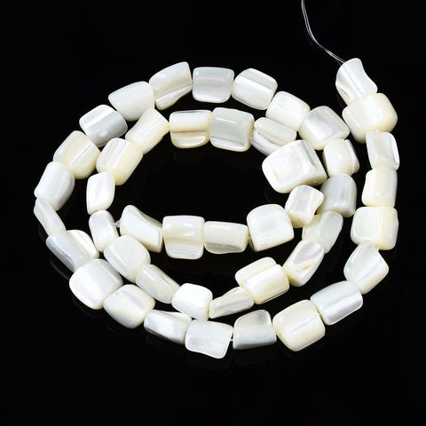 BeadsBalzar Craft Store Natural Trochid Shell/Trochus Shell Beads Strands, Chip, Seashell Color