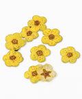 BeadsBalzar Craft Store YELLOW - ABOUT 7MM Embossing Dry Flower, for Cellphone, Photo Frame, Scrapbooking DIY Handmade Craft