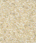 DB0109 Miyuki Delica 11/0 Cream Crystal AB (10g/50g) DELICA 11/0 CREAM CRYSTAL AB