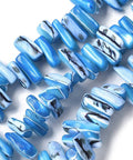 DEEP SKY BLUE Dyed Natural Trochus Shell Beads Strands, Nuggets Dyed Natural Trochus Shell Beads Strands, Nuggets