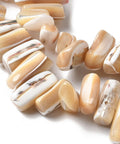 BURLYWOOD Dyed Natural Trochus Shell Beads Strands, Nuggets Dyed Natural Trochus Shell Beads Strands, Nuggets