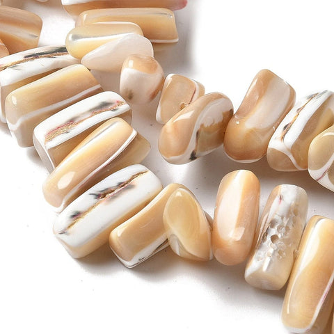 BURLYWOOD Dyed Natural Trochus Shell Beads Strands, Nuggets Dyed Natural Trochus Shell Beads Strands, Nuggets