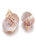 Electroplate Spiral Shell Pendants, with Brass Findings, Conch, Golden Electroplate Spiral Shell Pendants, with Brass Findings, Conch, Golden