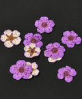 DARK VIOLET - ABOUT 7MM Embossing Dry Flower, for Cellphone, Photo Frame, Scrapbooking DIY Handmade Craft Embossing Dry Flower, for Cellphone, Photo Frame, Scrapbooking DIY Handmade Craft