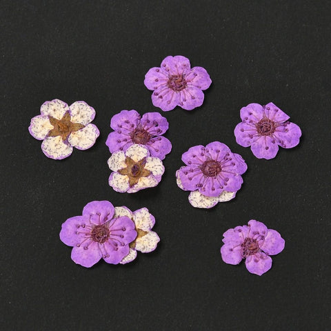 DARK VIOLET - ABOUT 7MM Embossing Dry Flower, for Cellphone, Photo Frame, Scrapbooking DIY Handmade Craft Embossing Dry Flower, for Cellphone, Photo Frame, Scrapbooking DIY Handmade Craft