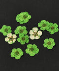 LIME GREEN - ABOUT 7MM Embossing Dry Flower, for Cellphone, Photo Frame, Scrapbooking DIY Handmade Craft Embossing Dry Flower, for Cellphone, Photo Frame, Scrapbooking DIY Handmade Craft
