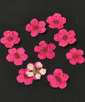 CERISE - ABOUT 7MM Embossing Dry Flower, for Cellphone, Photo Frame, Scrapbooking DIY Handmade Craft Embossing Dry Flower, for Cellphone, Photo Frame, Scrapbooking DIY Handmade Craft