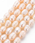 Natural Cultured Freshwater Pearl Beads, Rice, Seashell Color, 7~9mm Natural Cultured Freshwater Pearl Beads, Rice, Seashell Color, 7~9mm