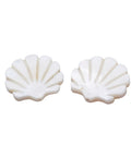 Natural Freshwater Shell Beads, Scallop Shape, Creamy White Natural Freshwater Shell Beads, Scallop Shape, Creamy White