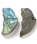 Natural Labradorite Carved Cabochons, Butterfly Wing Natural Labradorite Butterfly Wing Carved Cabochons – Flashy Gemstone for Jewelry Making