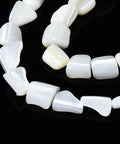 Natural Trochid Shell Chip Bead Strands, Seashell Color Natural Trochid Shell Chip Bead Strands, Seashell Color