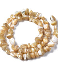 Natural Trochid Shell Chip Nugget Beads Strand Natural Trochid Shell Chip Nugget Beads Strand