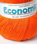 ORANGE Rial Filati Economico Wool Yarn 60% Wool, 30% Acrylic Rial Filati Economico Wool Yarn 60% Wool, 30% Acrylic