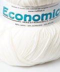 PANNA Rial Filati Economico Wool Yarn 60% Wool, 30% Acrylic Rial Filati Economico Wool Yarn 60% Wool, 30% Acrylic