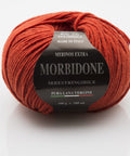 BURNT Rial Filati Morbidone Pure Merino Wool Yarn Rial Filati Morbidone Pure Merino Wool Yarn