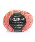 DEEP ANTIQUE PINK Rial Filati Morbidone Pure Merino Wool Yarn Rial Filati Morbidone Pure Merino Wool Yarn