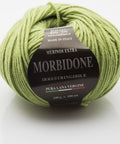 APPLE GREEN Rial Filati Morbidone Pure Merino Wool Yarn Rial Filati Morbidone Pure Merino Wool Yarn