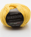 YELLOW SUN Rial Filati Morbidone Pure Merino Wool Yarn Rial Filati Morbidone Pure Merino Wool Yarn