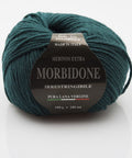 BOTTLE GREEN Rial Filati Morbidone Pure Merino Wool Yarn Rial Filati Morbidone Pure Merino Wool Yarn