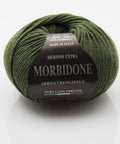 MOSS GREEN Rial Filati Morbidone Pure Merino Wool Yarn Rial Filati Morbidone Pure Merino Wool Yarn
