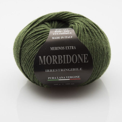 MOSS GREEN Rial Filati Morbidone Pure Merino Wool Yarn Rial Filati Morbidone Pure Merino Wool Yarn