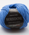SAPPHIRE BLUE Rial Filati Morbidone Pure Merino Wool Yarn, Worsted Weight Yarn Rial Filati Morbidone Pure Merino Wool Yarn, Worsted Weight Yarn