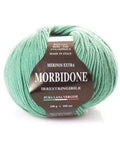 SAGE GREEN Rial Filati Morbidone Pure Merino Wool Yarn, Worsted Weight Yarn Rial Filati Morbidone Pure Merino Wool Yarn, Worsted Weight Yarn