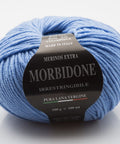 MEDIUM BLUE Rial Filati Morbidone Pure Merino Wool Yarn, Worsted Weight Yarn Rial Filati Morbidone Pure Merino Wool Yarn, Worsted Weight Yarn