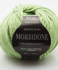 ACID GREEN Rial Filati Morbidone Pure Merino Wool Yarn, Worsted Weight Yarn Rial Filati Morbidone Pure Merino Wool Yarn, Worsted Weight Yarn