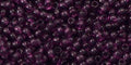 250 grams TOHO - Round 11/0 : Transparent Med Amethyst TR-11-6B  (250g) TOHO - Round 11/0 : Transparent Med Amethyst TR-11-6B  (250g)