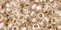 250g TOHO - Round 6/0 : Gold-Lined Rainbow Crystal (TR-06-994-250G) 250g TOHO - Round 6/0 : Gold-Lined Rainbow Crystal (TR-06-994-250G)