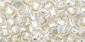 250g TOHO - Round 6/0 : Silver-Lined Crystal (TR-06-21-250G) 250g TOHO - Round 6/0 : Silver-Lined Crystal (TR-06-21-250G)