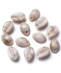 Acrylic Pendants, Imitation Gemstone Style, Cowrie Shell Acrylic Pendants, Imitation Gemstone Style, Cowrie Shell, Seashell Size: about 18.5mm long, 12.5mm wide, 8mm thick, hole: 2mm